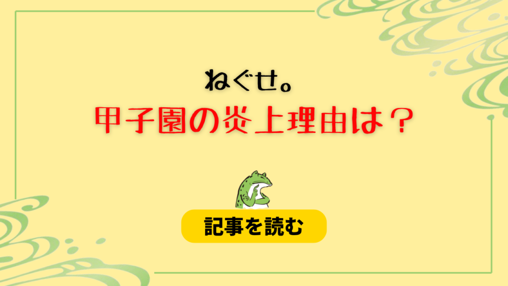 【甲子園】ねぐせ。の炎上はなぜ？12の理由！野球へのリスペクトがない？